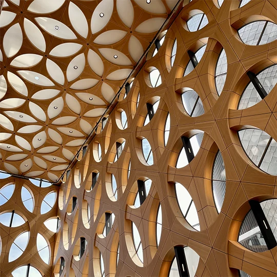 Interior of building with many overlapping circular windows